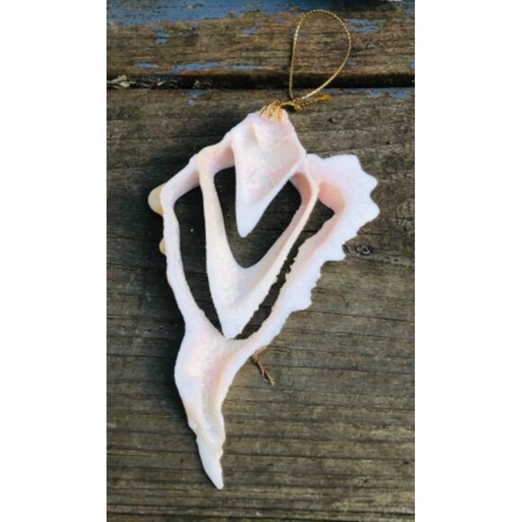 Lot of 5 Handmade Glittered Seashell Christmas Ornaments Angel Murex Clam Coasta - Picture 3 of 11